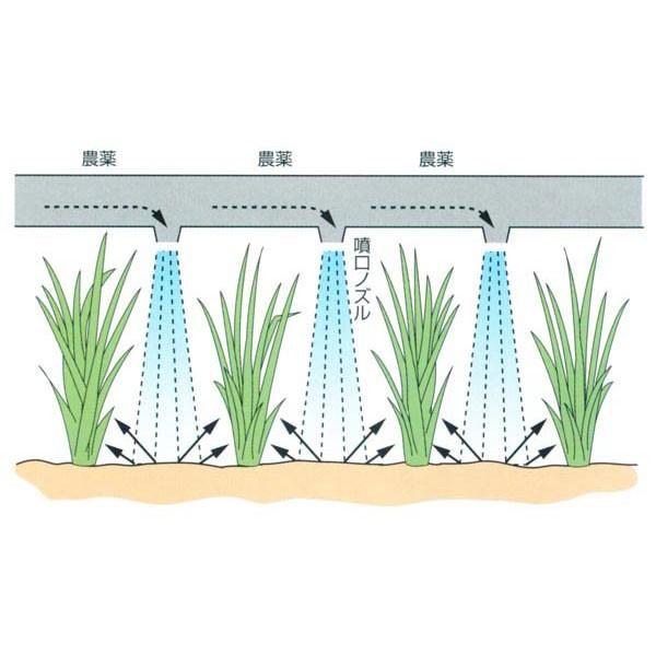 KIORITZ  w͎Uz@A^b`g ͗pz[X DLH-55M  (Uz 55m) (i P021-041000)