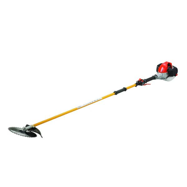 山採りヤマモミジ&コハウチワ　2 H190cm W80cm 山採りヤマモミジ&コハウチワ 2 H190cm W80cm