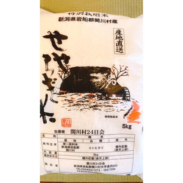 【令和7年度産 （精米2026-5月）】 新潟県 関川村産 コシヒカリ 5キロ せせらぎ米 岩船産コシヒカリ