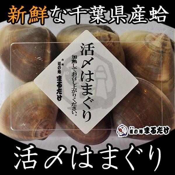 活〆はまぐり 4~5個×5セット 千葉県産 冷凍はまぐり 蛤 贈り物 母の日ギフト