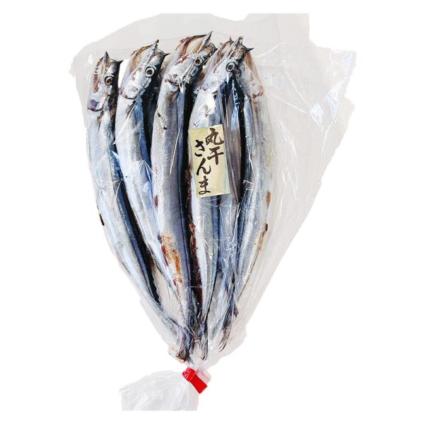千葉県産の秋刀魚(サンマ)を丸ごと干し上げ、旨味を凝縮させました。身は引き締まり生のさんまよりおいしさが増しています。余分な脂肪分が抜けてあっさりしながらも濃厚な旨味が残った自慢の一品をぜひご賞味ください。・商品名：冷凍干物 さんま丸干し・...