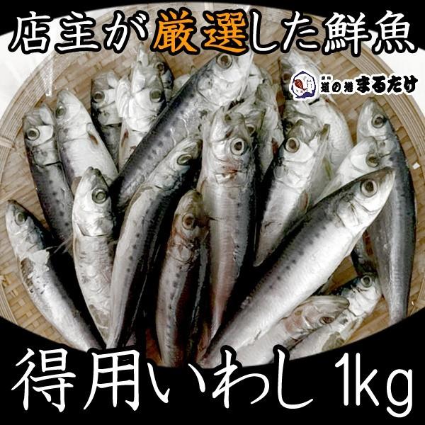 得用いわし 1kg×2セット(2kg) お買い得 詰め合わせセット 国産 愛知県産 鰯 真イワシ 真いわし 贈り物 敬老の日 ギフト