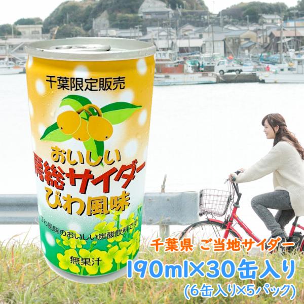 ご当地サイダー おいしい房総サイダー 190ml×30缶入り びわ風味 無果汁 房総びわ 千葉県限定販売 炭酸飲料 ジュース サイダー 贈り物 母の日ギフト