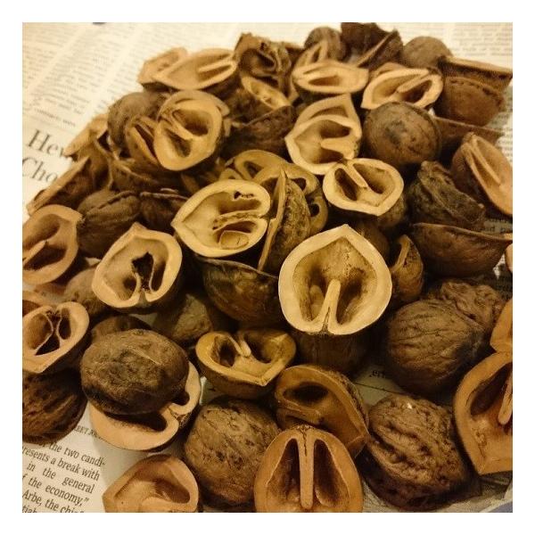 くるみの殻 くるから 国産無農薬 煮沸洗浄済み 1kg 3リットル くるみの殻 くるから 国産無農薬 煮沸洗浄済み 1kg 3リットル