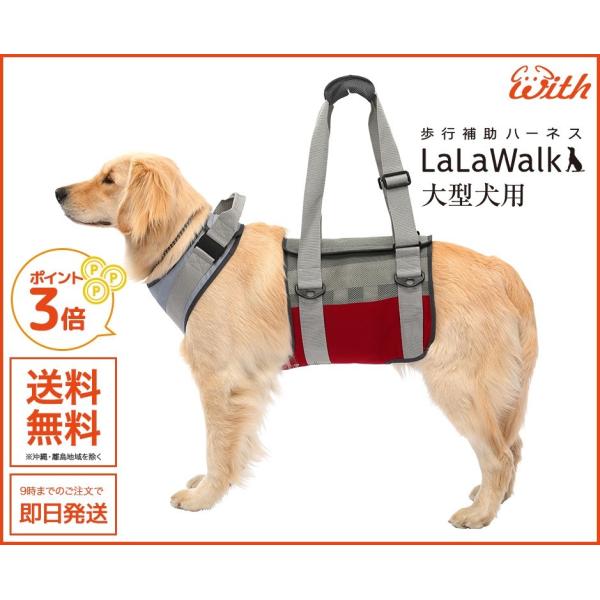 EH[N bVO[C SS  pEs⏕n[lX E^p