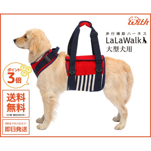 EH[N i`} S pEs⏕n[lX E^p