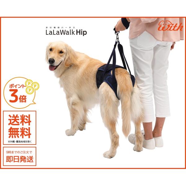 EH[N ʃlCr[ pEs⏕n[lX Hip qbv ^p