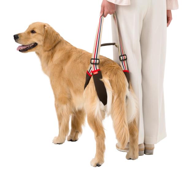 LaLaWalk 中/大型犬後ろ足用 STEP フレンチカフェオレ フリーサイズ ララウォーク 介護用・歩行補助ハーネス