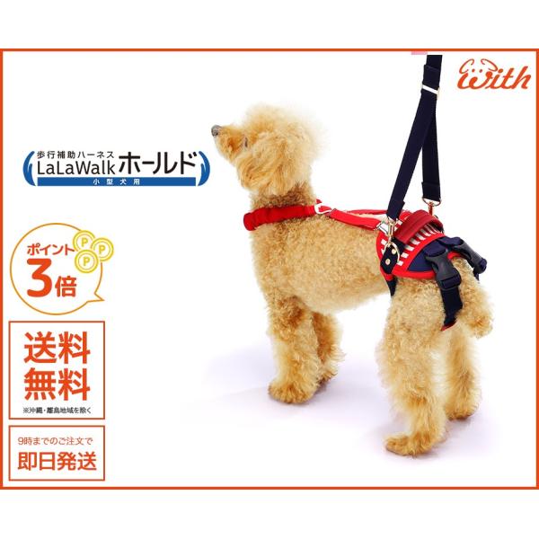 EH[N z[h Z[[} ^p  pEs⏕n[lX