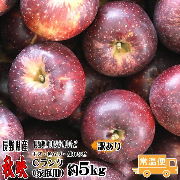 【予約】訳あり りんご 秋映 Cランク 家庭用 約 5kg 12玉〜18玉 長野県産 リン ゴ フルーツ 信州 送料無料 10月上旬頃〜 長野県オリジナルりんご