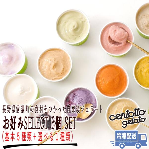 カップジェラート お好みSELECT 6個SET（選べる6種類） 信濃町産食材のヘルシー ジェラート ギフト 2026 お中元 お歳暮 爆買