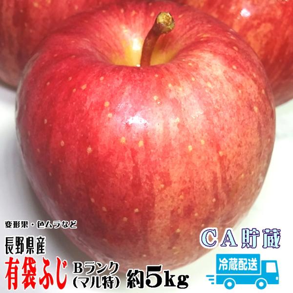 りんご 有袋ふじ 約5kg Bランク マル特 長野県産 CA貯蔵 ギフト 送料無料 フルーツ リンゴ 信州 クール便  :fuji-maru5:トミおじさんのお店 長野りんご 通販 