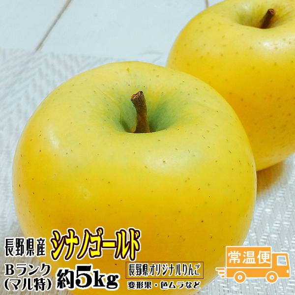 ギフト りんご シナノゴールド 約5kg Bランク マル特 12玉〜18玉 長野県産 送料無料 フルーツ リンゴ 信州 お取り寄せ