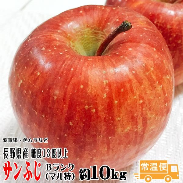 ギフト りんご サンふじ 約10kg Bランク マル特 長野県産 CA貯蔵 送料無料 フルーツ リンゴ 信州 お取り寄せ