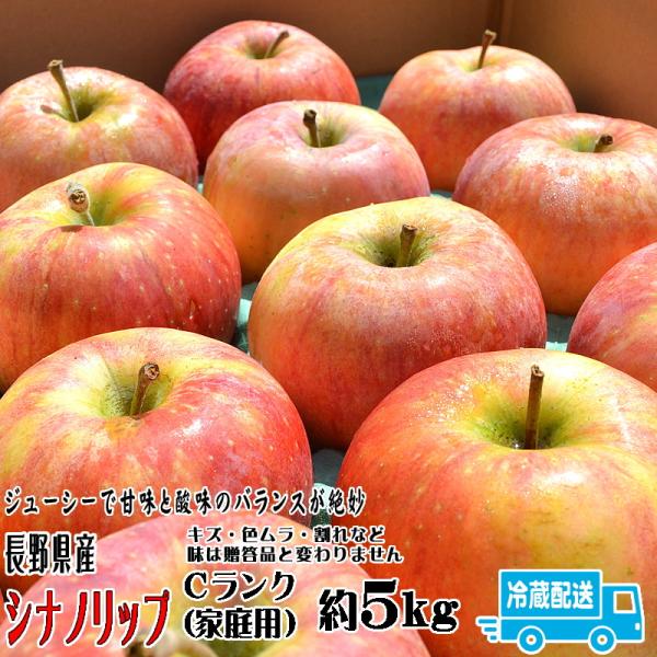 シナノリップ Cランク（家庭用）約５kg （14〜18玉) 長野県産 クール便 送料無料 フルーツ りんご お取り寄せ 8月中旬頃〜下旬頃