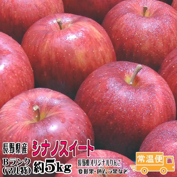 予約 ギフト りんご シナノスイート Bランク マル特 約 5kg 長野県産 リン ゴ フルーツ 信州 送料無料 10月下旬頃〜