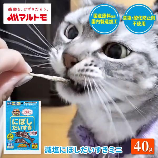 猫 おやつ 無添加 マルトモ公式 減塩にぼしだいすきミニ 40g｜マルトモ海幸倶楽部｜にぼし 煮干し 猫用 犬用