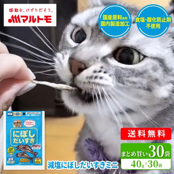 猫 おやつ 無添加 マルトモ公式 減塩にぼしだいすきミニ 40g（×30袋）送料無料｜マルトモ海幸倶楽部｜にぼし 煮干し 猫用 犬用