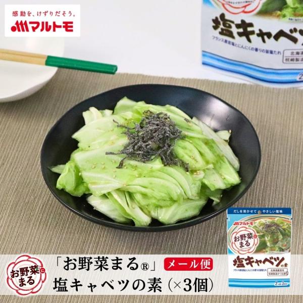 【「お野菜まる(R)」 塩キャベツの素 40g の商品特長】キャベツを切って漬け込むだけ！フランス産岩塩を使用。にんにくの香りの旨塩たれで美味しさアップ！●だしを効かせることで塩分を抑えても野菜をおいしく沢山食べることができます。●北海道産...