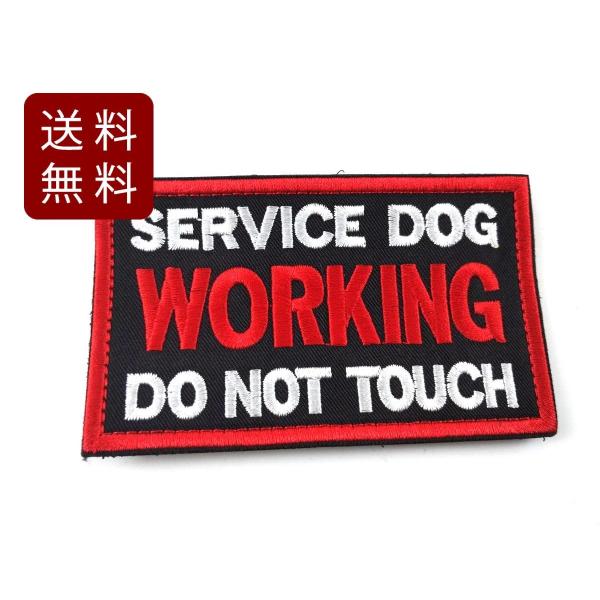service dog training pb` by ToQ[ ~^[ xN ubN 10cmx6cm  l t  og ToCoQ[ RXv