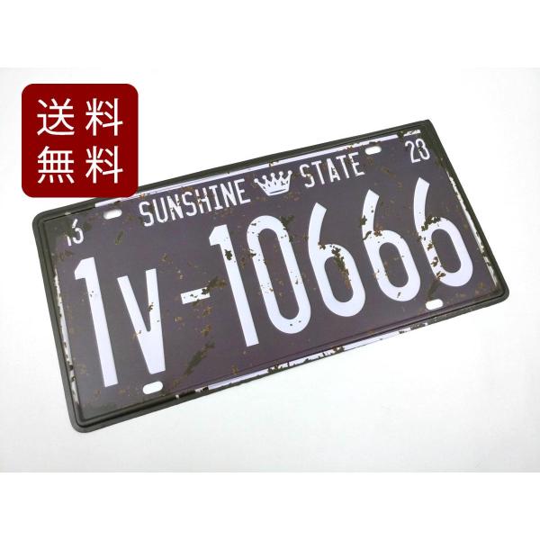 AJ uLŔ io[v[g t_B SUNSHINE STATE 30.5cmX15.5cm g K[fjO AeB[N AJ O  