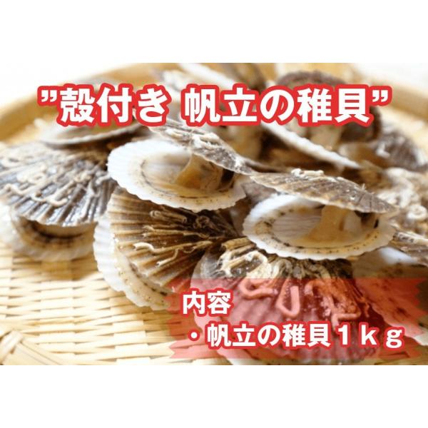 【送料無料】殻付きほたての稚貝2kg(1kg×パック)
