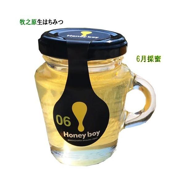 _炩ȊÂ̒ɍL܂ É qV ݂͂ 6̖ Hanyboy-06 M _ VRI I Y nj[ n ~bNX