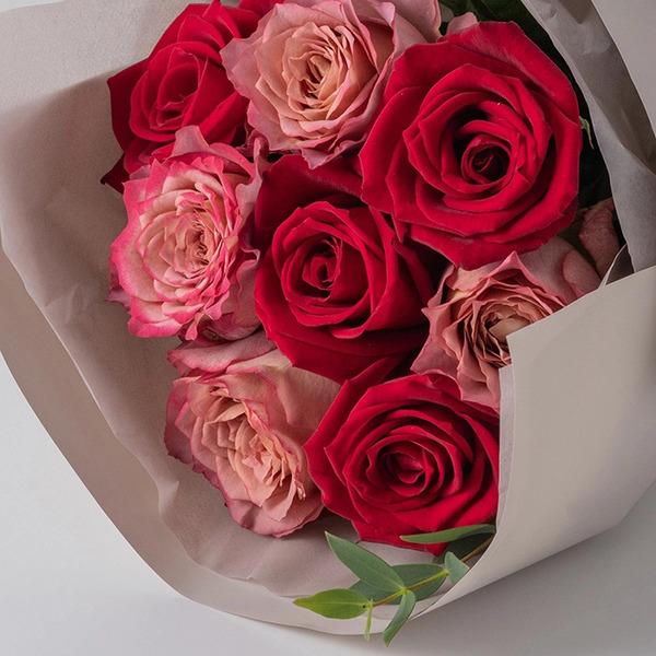 [Release date: May 16, 2025]ホシファーム フリルブーケニュアンスレッド８本＆ホシフルーツ 贅沢ブラウニー６個入 メッセージカード付 ラッピング済農園直送　摘みたてバラのフリルブーケと、ホシフルーツこだわりの贅沢ブ...