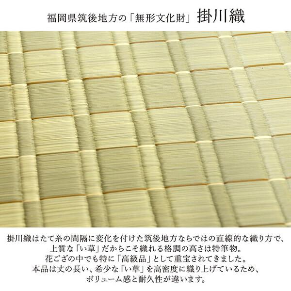 イケヒコ カーペット 純国産 掛川織 花ござ 本間4.5畳(約286.5×286cm