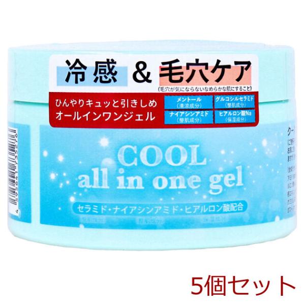 クールオールインワンゲル 280g 5個セット