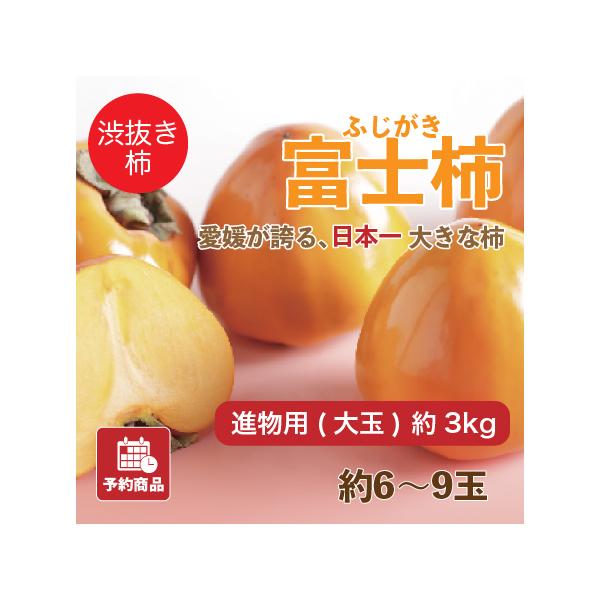 愛媛八幡浜特産 富士柿 愛媛県産 柿 かき 進物用 大玉 約3kg 約6~9玉 産地直送 送料無料 予約商品