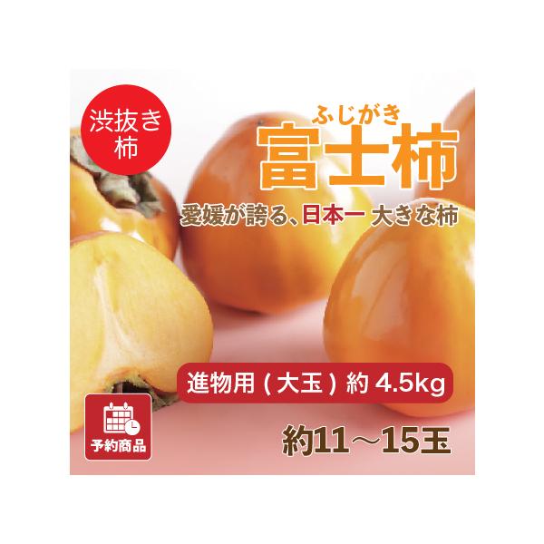 愛媛八幡浜特産 富士柿 愛媛県産 柿 かき 進物用 大玉 約4.5kg 約11~15玉 産地直送 送料無料 予約商品