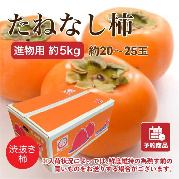 たねなし柿 愛媛県産 柿 かき 進物用 約5kg 約20~25玉 産地直送 送料無料 予約商品