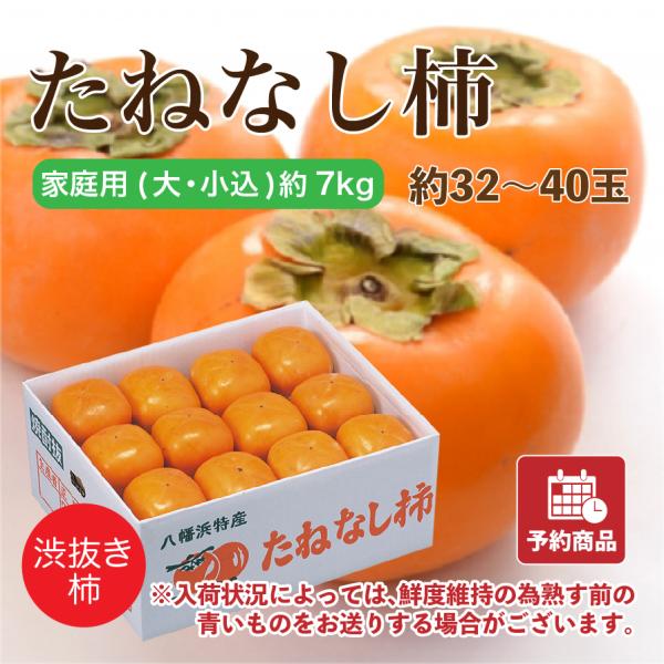 たねなし柿 愛媛県産 柿 かき 家庭用 大・小込み 約7kg 約32~40玉 産地直送 送料無料 予約商品