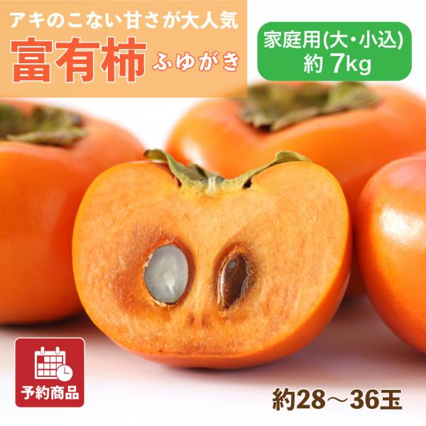 富有柿 ふゆがき 愛媛県産 柿 家庭用 大・小込み 約7kg 約28~36玉 産地直送 送料無料 予約商品