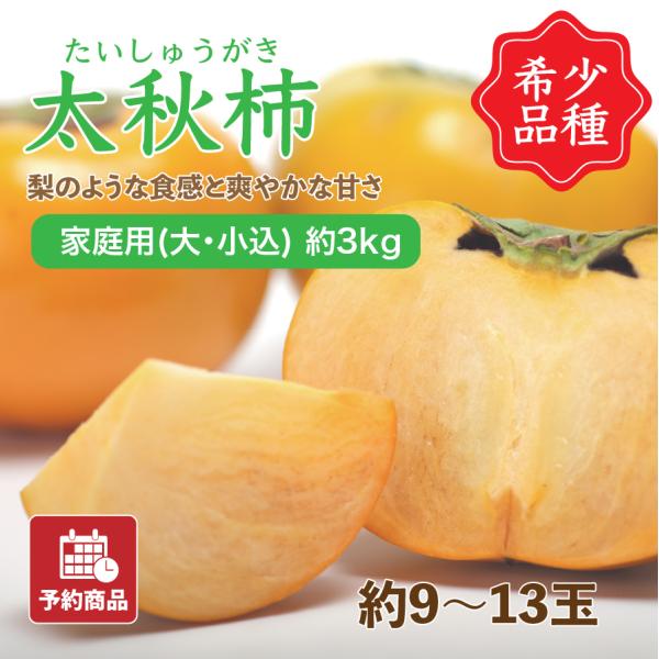 太秋柿 たいしゅうがき 愛媛県産 柿 かき 家庭用 大・小込み 約3kg 約9~13玉 産地直送 送料無料 予約商品