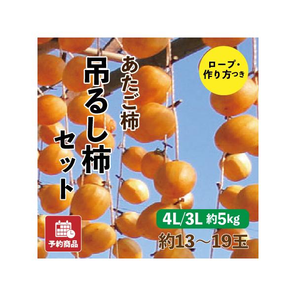 あたご柿 吊るし柿セット 愛媛県産 干し柿 4L 3L 約5kg 約13~19玉 産地直送 送料無料 予約商品