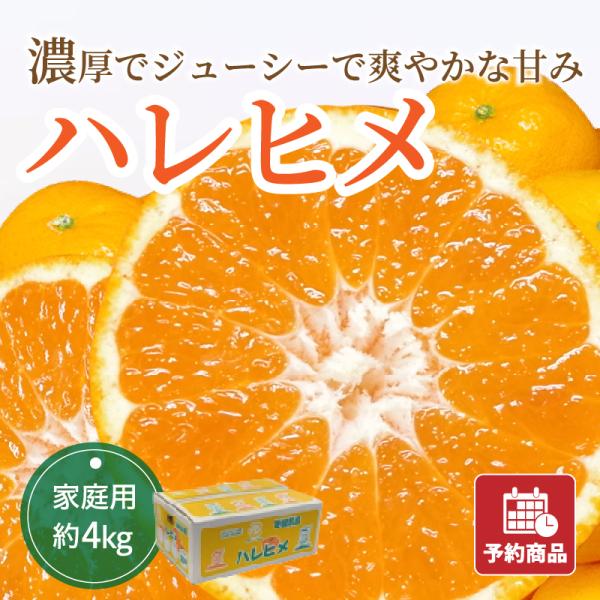 ハレヒメ 家庭用 約4kg はれひめ 愛媛県産みかん みかん 産地直送 送料無料 予約商品