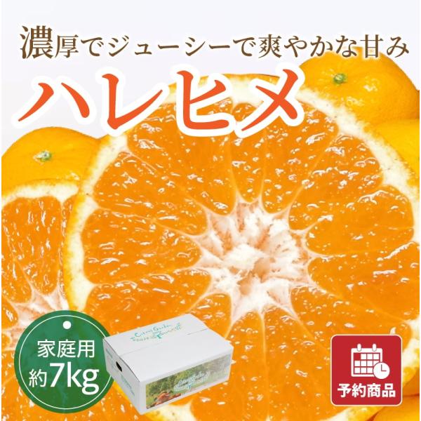 ハレヒメ 家庭用 約7kg はれひめ 愛媛県産みかん みかん 産地直送 送料無料 予約商品