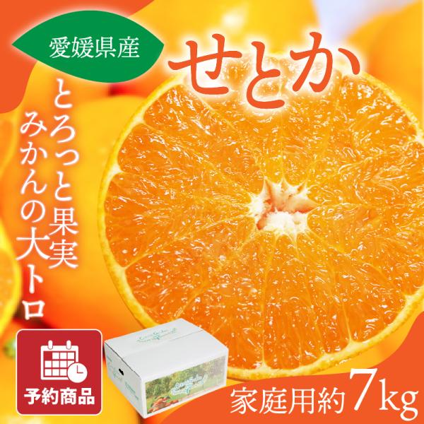 ７愛媛県産 せとか 家庭用 10kg 7愛媛県産 せとか 家庭用 10kg