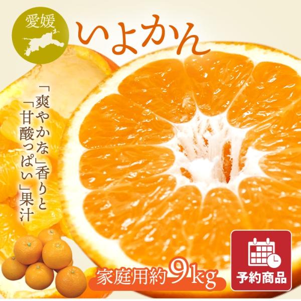 ＼予約開始いたしました！／お届け期間目安：1月上旬〜3月中旬※出荷開始まで代引き不可です。※品種の育成状況により、入荷及び出荷開始時期は前後いたします。愛媛が誇る代表みかんです。爽やかな香りと甘酸っぱい果汁がたっぷりです。内容量 家庭用 約...