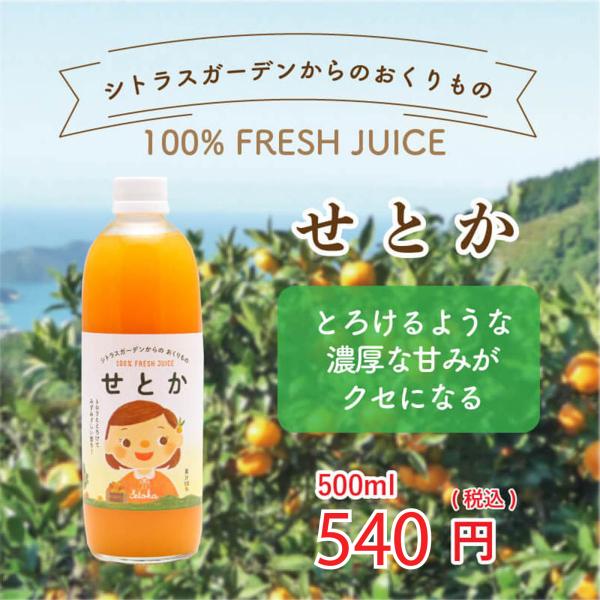 愛媛県産 みかんジュース せとか シトラスガーデンからのおくりもの