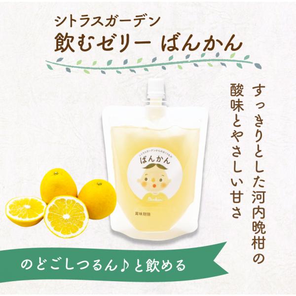 シトラスガーデン 飲むゼリー ばんかん 150g ゼリー ギフト
