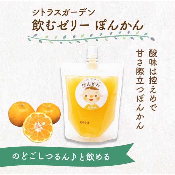 maruwa-fruit_181603061