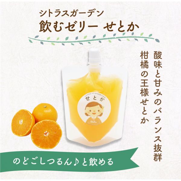 シトラスガーデン 飲むゼリー せとか 150g ゼリー ギフト
