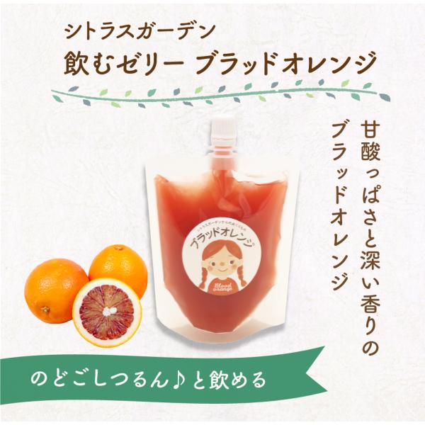 ミカンページ シトラスガーデン 飲むゼリー ブラッドオレンジ 150g ゼリー