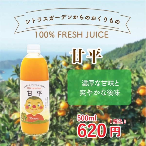 愛媛県産 みかんジュース 甘平 シトラスガーデンからのおくりもの 500ml 産地直送
