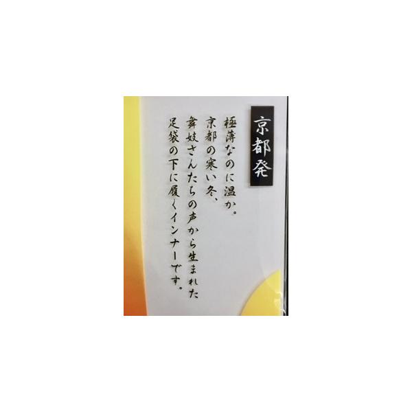 着物インナー ヒート ふぃっと ワンピース Lサイズ きもの肌着 着物下着 ホワイト 着物冬肌着 きものヒートテック 女性用 Buyee Buyee 提供一站式最全面最专业现地yahoo Japan拍卖代bid代拍代购服务 Bot Online