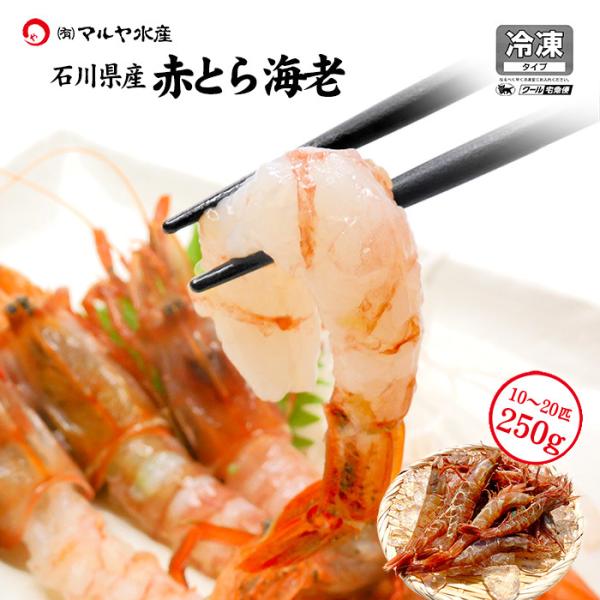 Ԃ ԂƂ炦 250g 10`20C hgp ΐ쌧Y KXGr  CV  Mtg Yn  2Zbgő