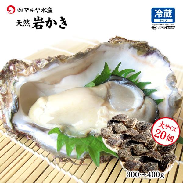 岩牡蠣　殻付き700g〜900g 6個入り一箱4.2kg以上 岩牡蠣 殻付き700g〜900g 6個入り一箱4.2kg以上 岩